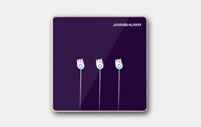 藝術(shù)開關(guān)GS-XWKG